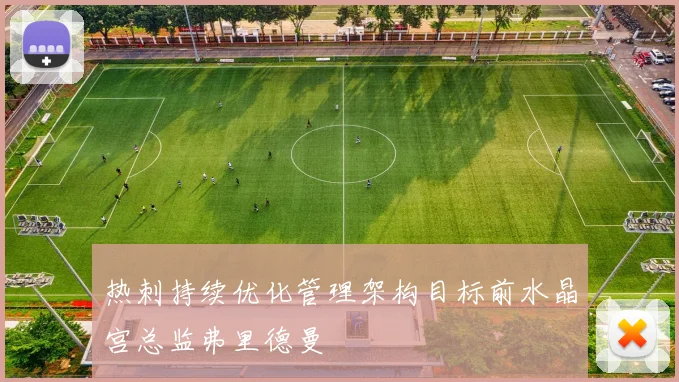 热刺持续优化管理架构目标前水晶宫总监弗里德曼