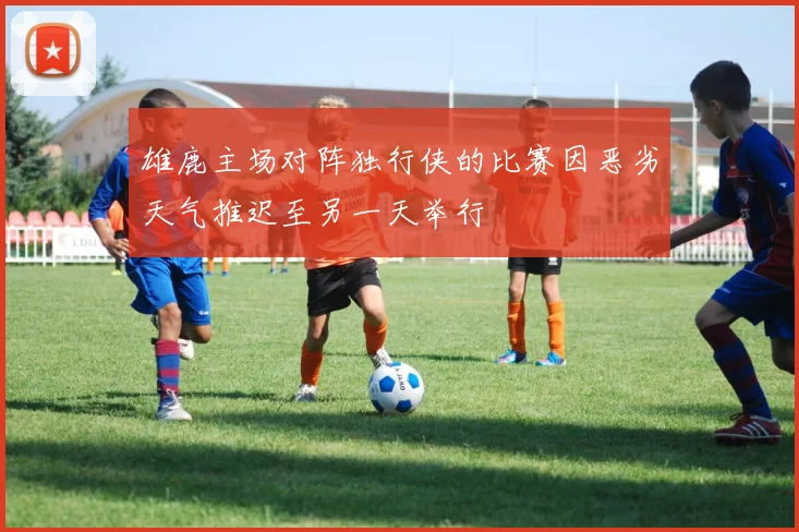 雄鹿主场对阵独行侠的比赛因恶劣天气推迟至另一天举行