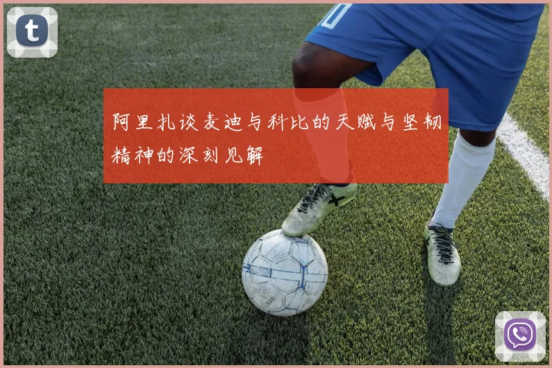 阿里扎谈麦迪与科比的天赋与坚韧精神的深刻见解