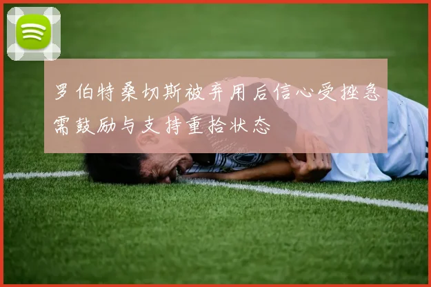 罗伯特桑切斯被弃用后信心受挫急需鼓励与支持重拾状态