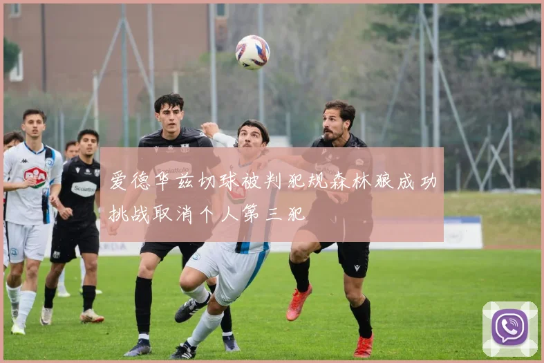 爱德华兹切球被判犯规森林狼成功挑战取消个人第三犯
