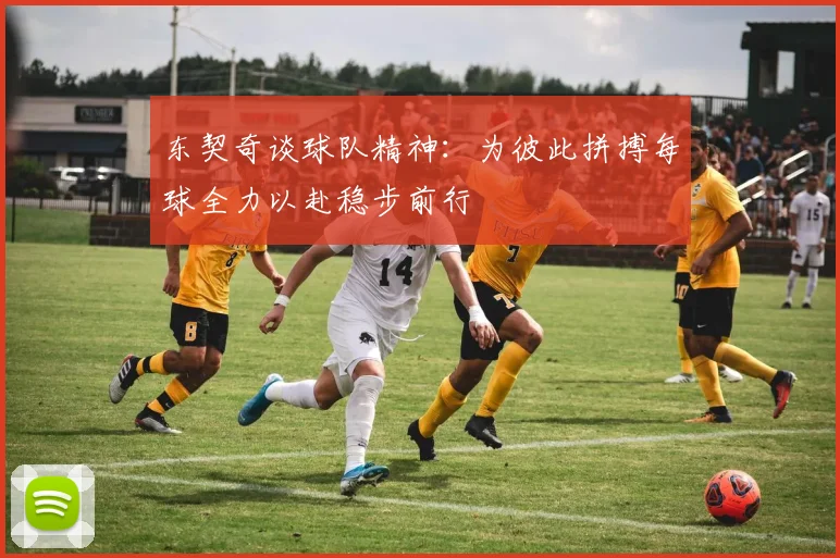 东契奇谈球队精神：为彼此拼搏每球全力以赴稳步前行